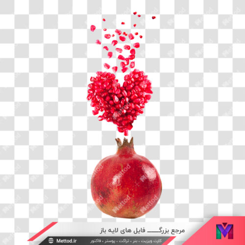 عکس png انار طرح 133