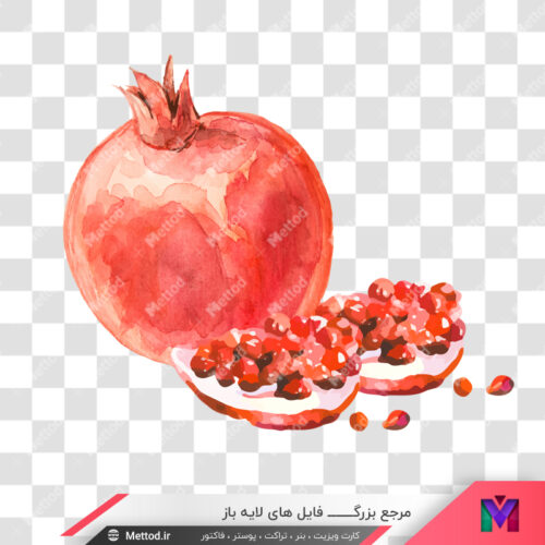 عکس انار png طرح 127
