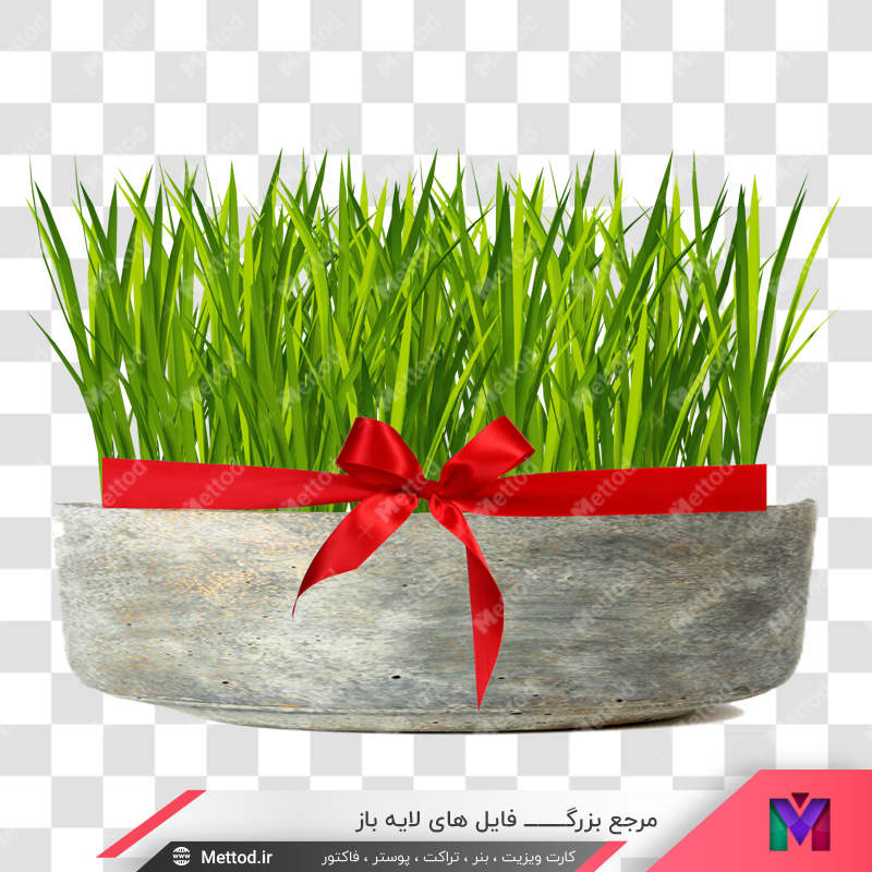 noruz-grasses-image-png عکس سبزه نوروز png