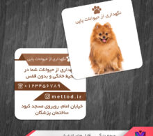 کارت ویزیت نگهداری حیوانات خانگی طرح 744