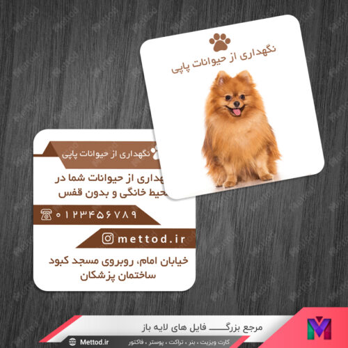 کارت ویزیت نگهداری حیوانات خانگی طرح 744