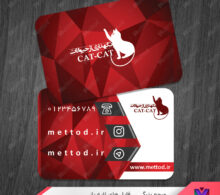 کارت ویزیت نگهداری حیوانات خانگی طرح 747