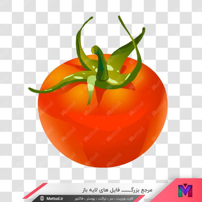 tomato-png عکس png گوجه فرنگی طرح 237