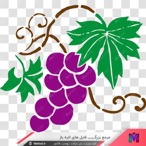 عکس png انگور طرح 274