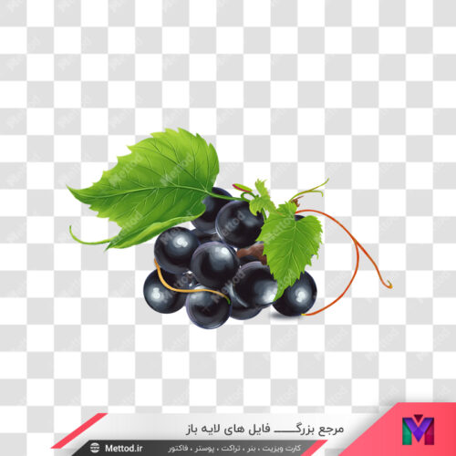 png انگور طرح 275