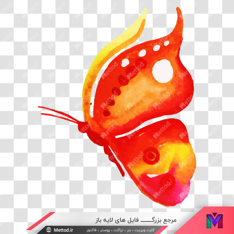 butterflies-png-1-1