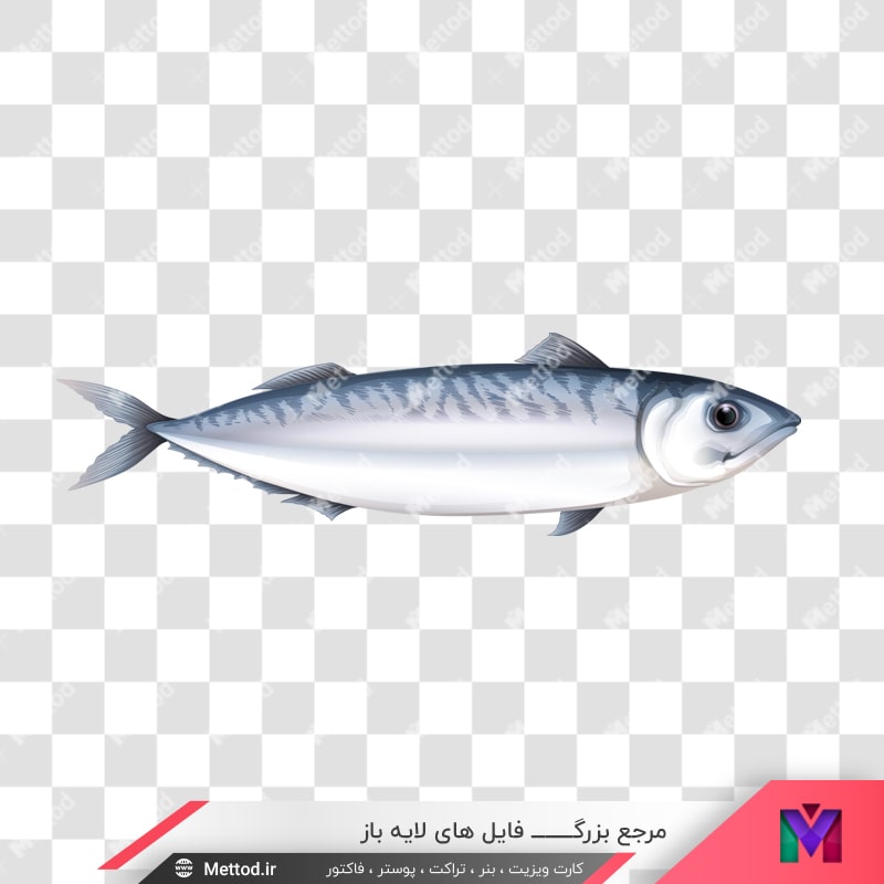 fish-png-077-1