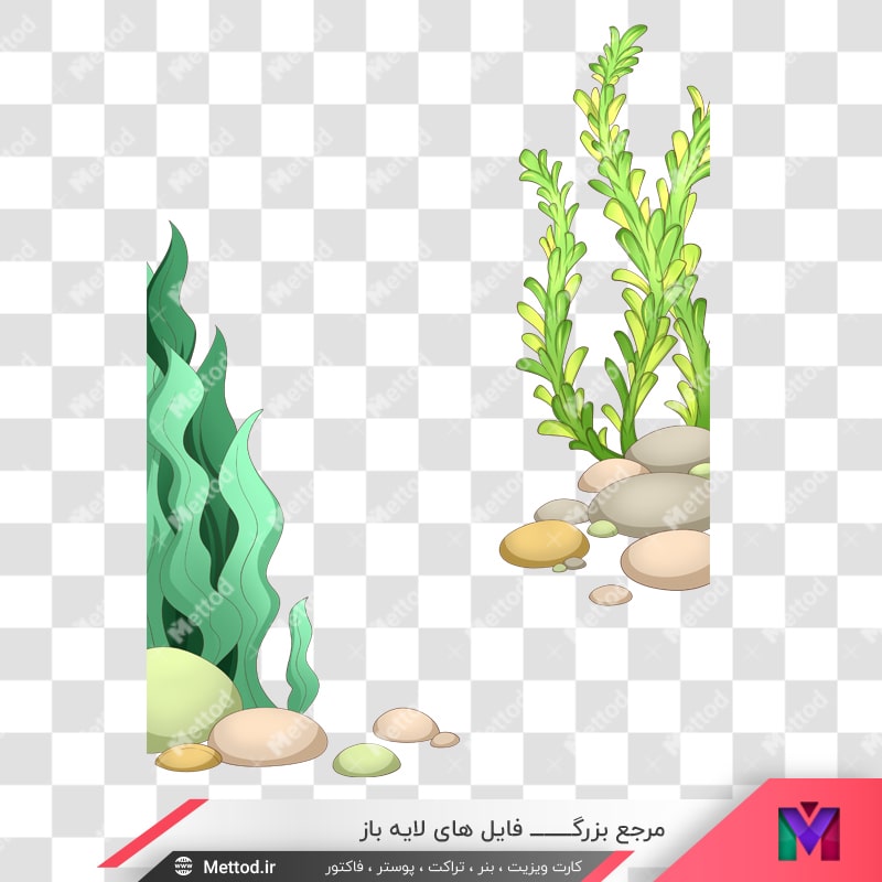 fish-png-91-2