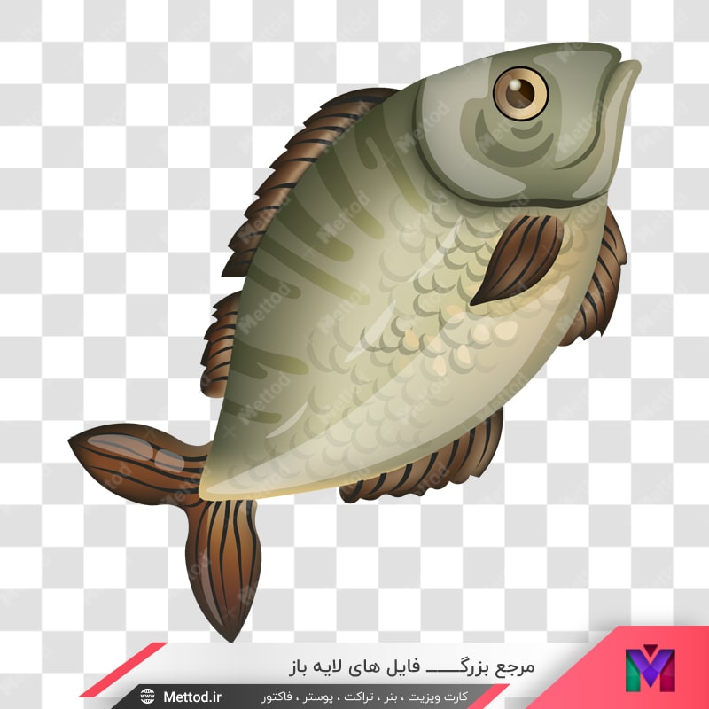 fish-vector-058 وکتور ماهی