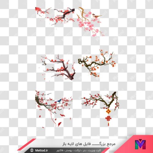 عکس png گل و شکوفه طرح 645