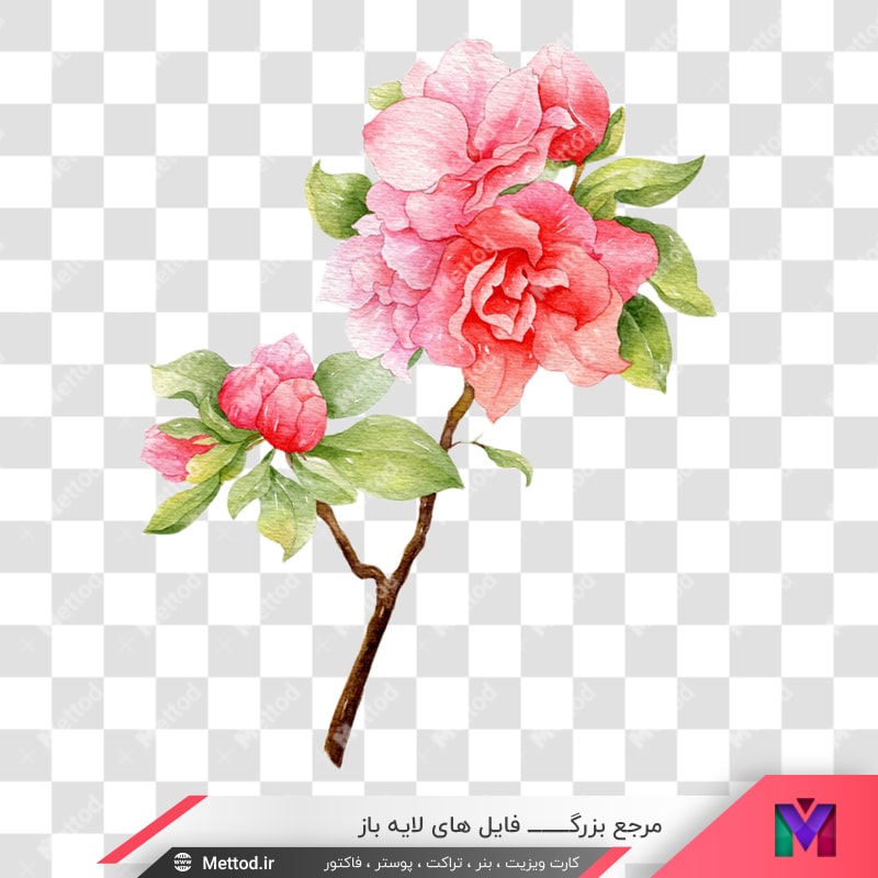 flowers-png-4-2