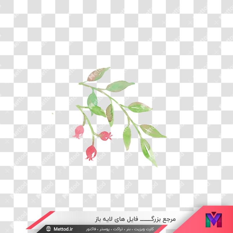 flowers-png-4-4