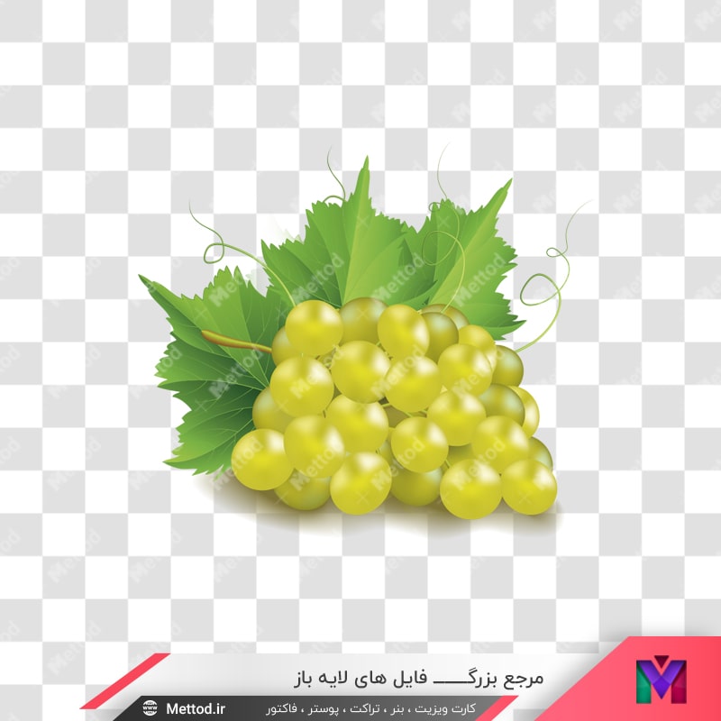 grape-png-100-1 عکس png انگور طرح 678