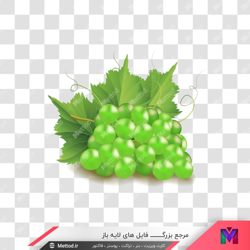 grape-png-100
