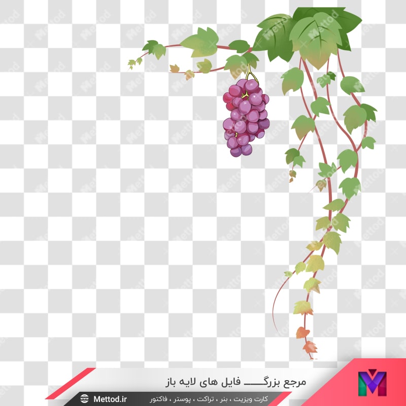 grape-png-94 عکس png انگور طرح 674