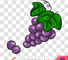 عکس png انگور طرح 677