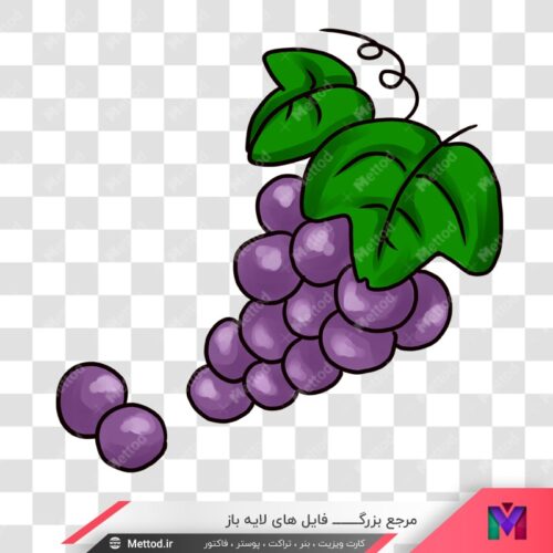 عکس png انگور طرح 677
