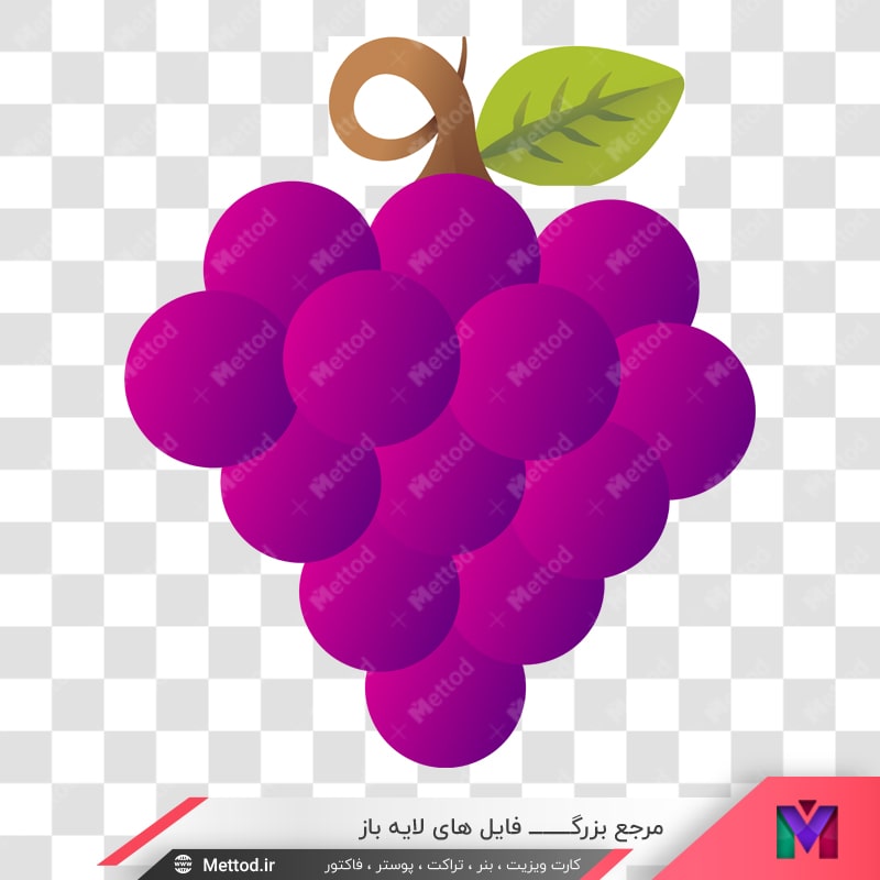 grape-vector-135 وکتور انگور