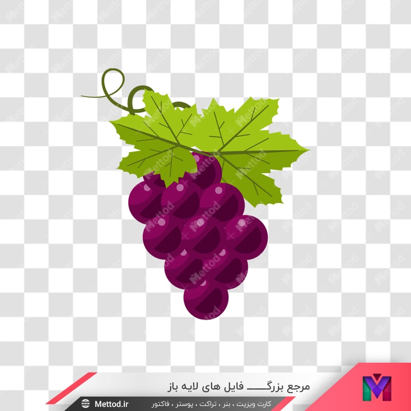 grapes-png-167-1
