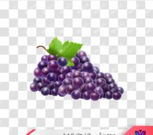 عکس png انگور طرح 682