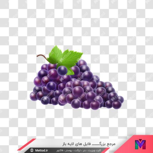 عکس png انگور طرح 682