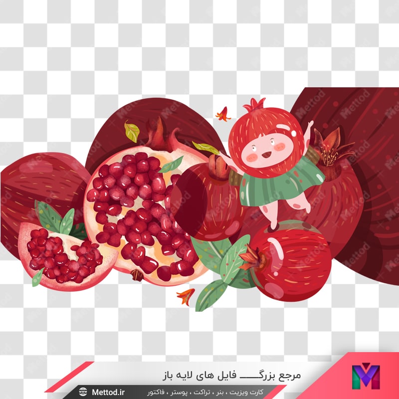 pomegranate-png-097 عکس png انار طرح 809