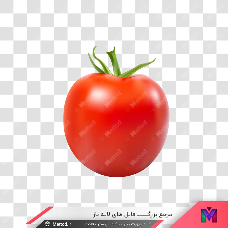 tomato-png-143-2
