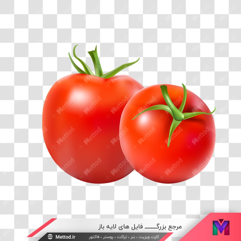 tomato-png-143 عکس png گوجه فرنگی طرح 886