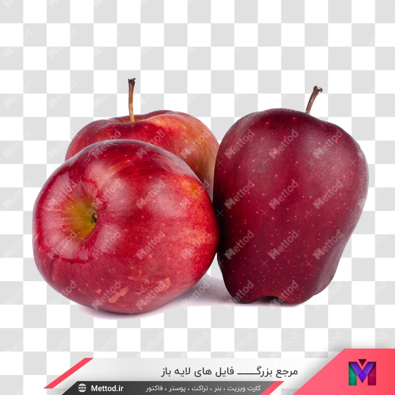 apples-png-6 عکس png سیب طرح 948