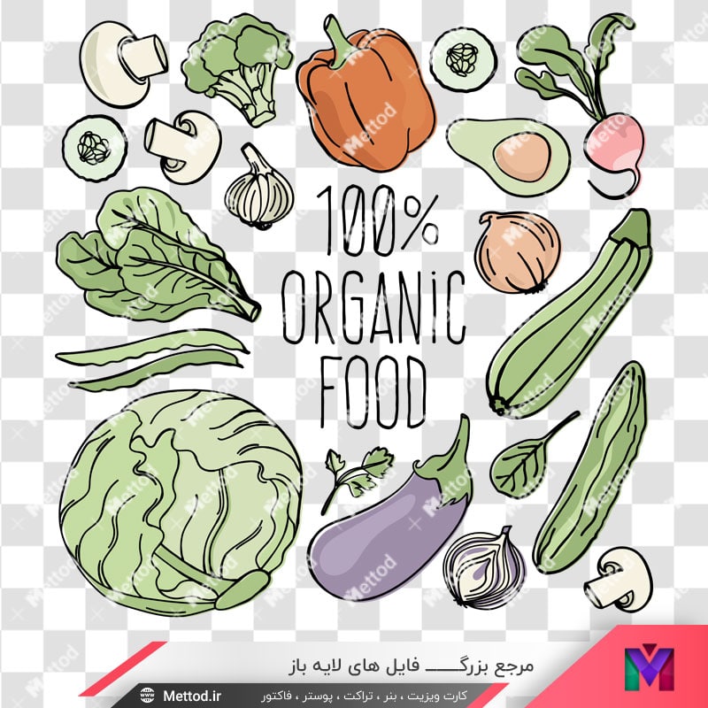 vegetables-vector-130 وکتور صیفیجات طرح 1114