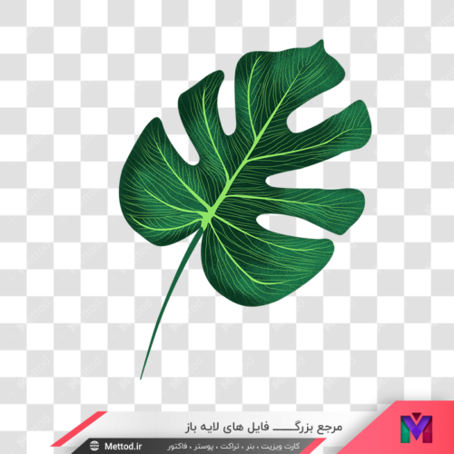 png برگ